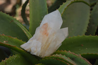 Natural Castle Quartz Crystals x 6 From Madagascar - Toprock Gemstones and Minerals 