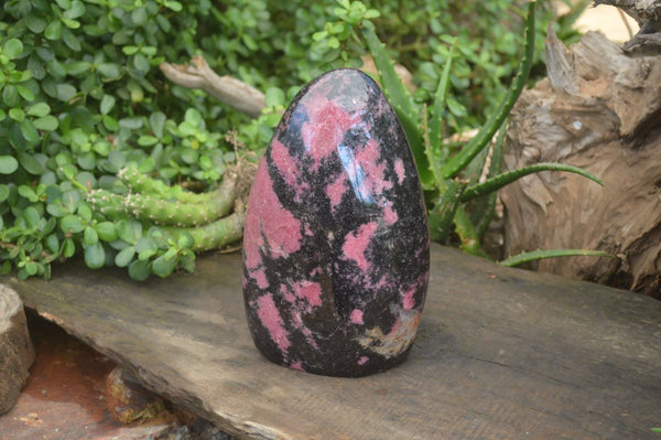 Polished Rhodonite Standing Free Form x 1 From Ambindavato, Madagascar - Toprock Gemstones and Minerals 