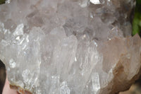 Natural Amethyst Agate Geode x 1 from Madagascar