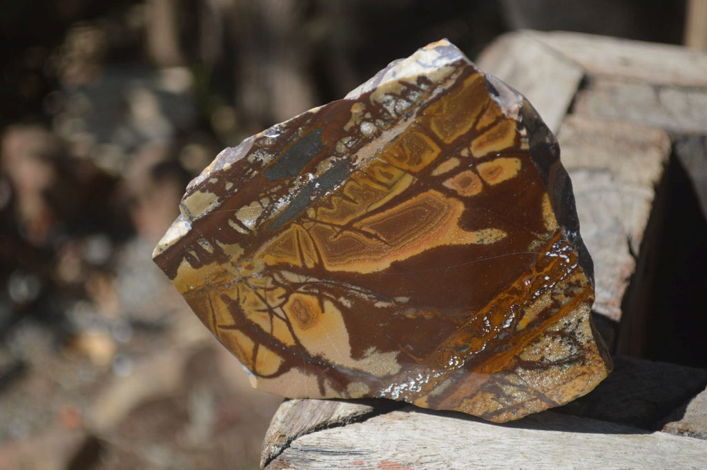 Polished On One Side Nguni Jasper Specimen's x 2 From Prieska, South Africa - Toprock Gemstones and Minerals 