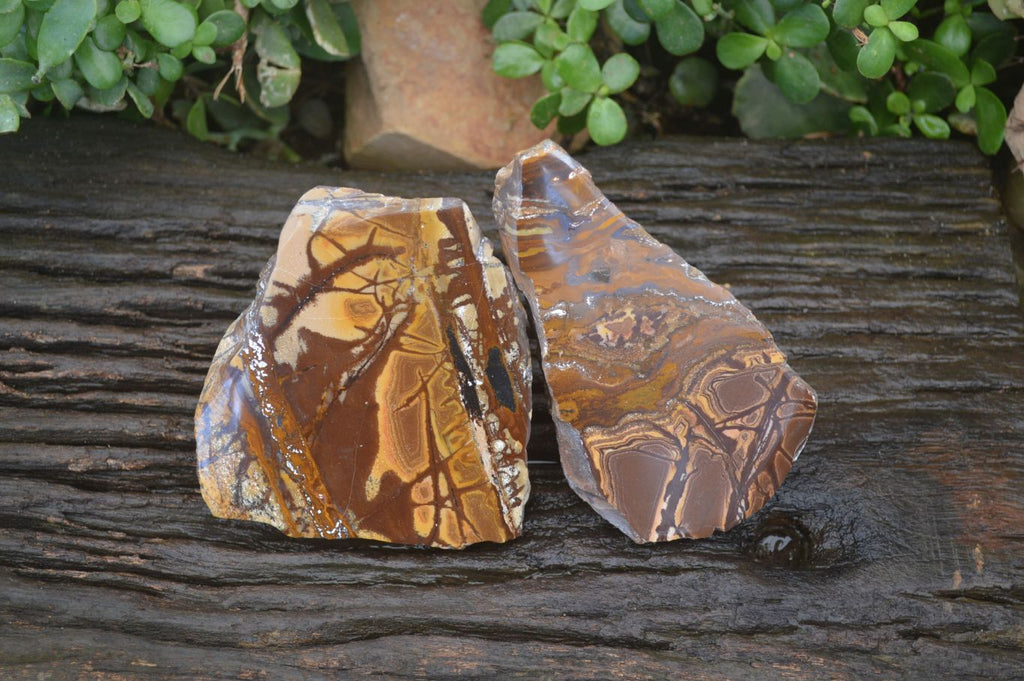 Polished On One Side Nguni Jasper Specimen's x 2 From Prieska, South Africa - Toprock Gemstones and Minerals 