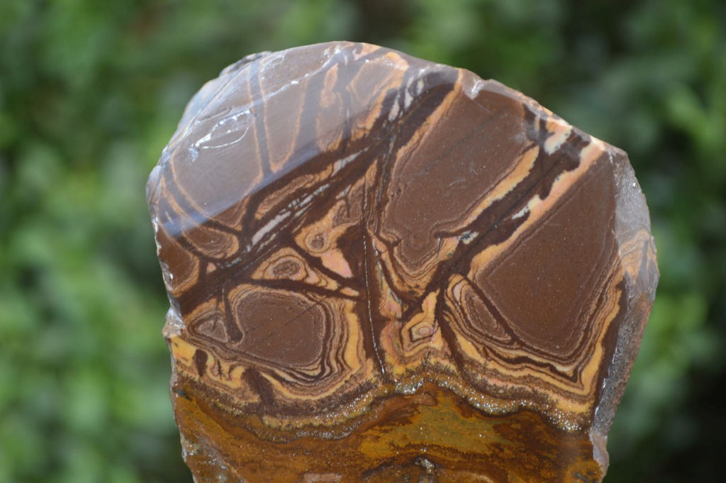 Polished On One Side Nguni Jasper Specimen's x 2 From Prieska, South Africa - Toprock Gemstones and Minerals 