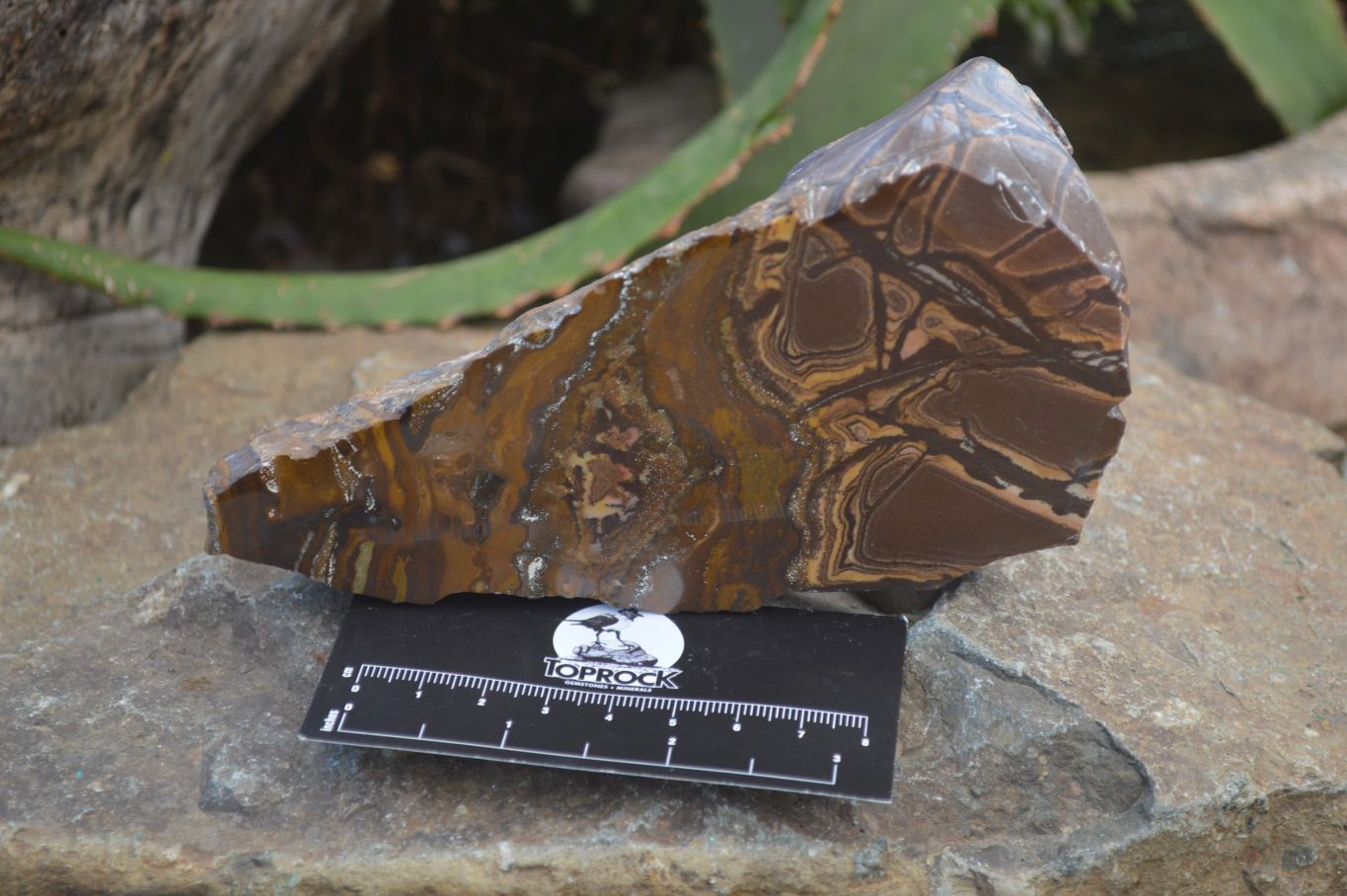 Polished On One Side Nguni Jasper Specimen's x 2 From Prieska, South Africa - Toprock Gemstones and Minerals 