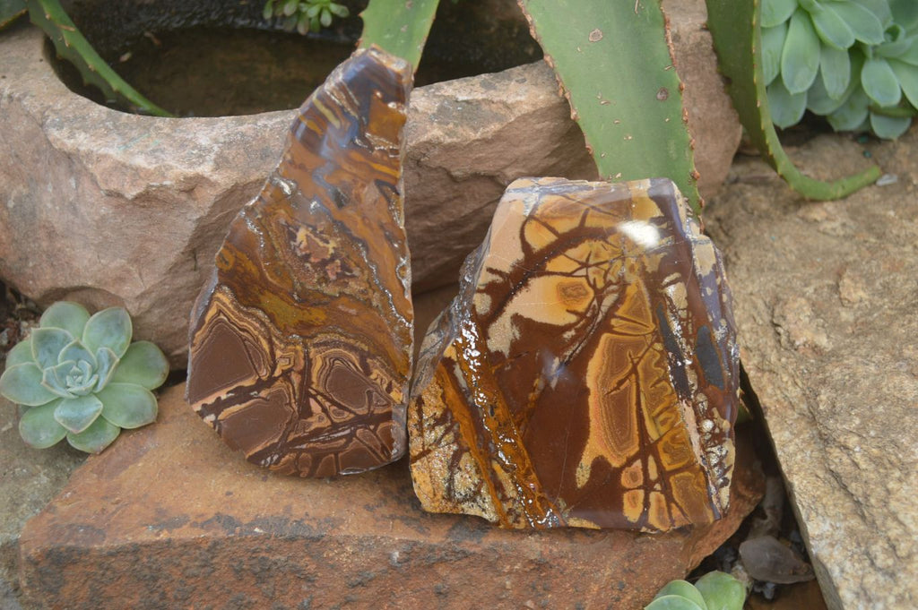 Polished On One Side Nguni Jasper Specimen's x 2 From Prieska, South Africa - Toprock Gemstones and Minerals 
