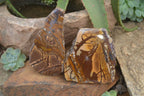 Polished On One Side Nguni Jasper Specimen's x 2 From Prieska, South Africa - Toprock Gemstones and Minerals 