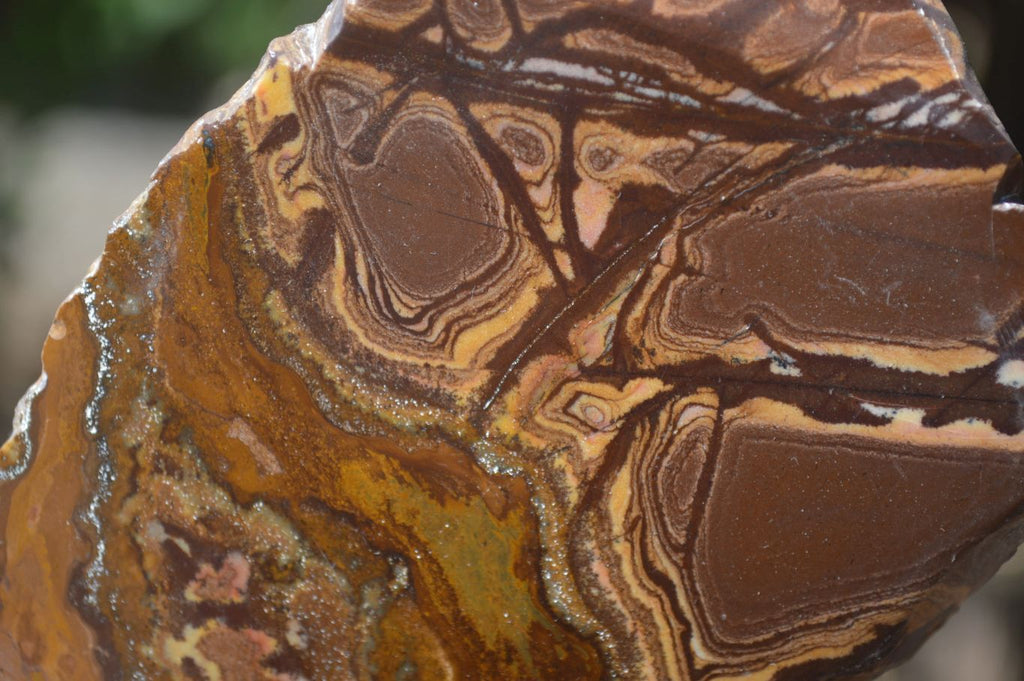 Polished On One Side Nguni Jasper Specimen's x 2 From Prieska, South Africa - Toprock Gemstones and Minerals 