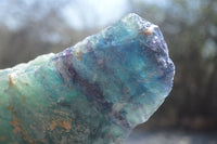 Natural Watermelon Fluorite Cobbed Specimens x 3 From Uis, Namibia - Toprock Gemstones and Minerals 