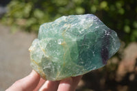 Natural Watermelon Fluorite Cobbed Specimens x 3 From Uis, Namibia - Toprock Gemstones and Minerals 