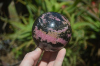 Polished Rhodonite Sphere x 2 From Ambindavato, Madagascar - Toprock Gemstones and Minerals 