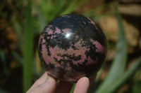 Polished Rhodonite Sphere x 2 From Ambindavato, Madagascar - Toprock Gemstones and Minerals 