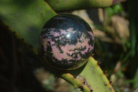 Polished Rhodonite Sphere x 2 From Ambindavato, Madagascar - Toprock Gemstones and Minerals 