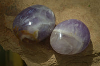 Polished Chevron Amethyst Galet-Palm Stones x 12 from Madagascar - Toprock Gemstones and Minerals 