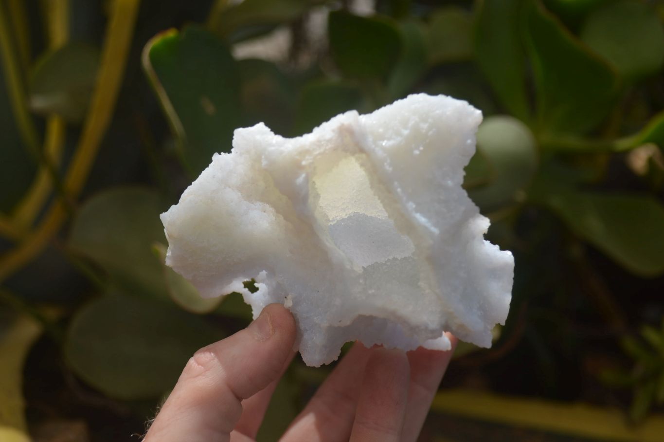 Natural Etched Blue Chalcedony Specimens x 3 From Nsanje, Malawi - Toprock Gemstones and Minerals 