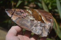 Polished On One Side Nguni Jasper x 2 From Prieska, South Africa - Toprock Gemstones and Minerals 