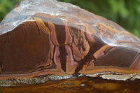 Polished On One Side Nguni Jasper x 2 From Prieska, South Africa - Toprock Gemstones and Minerals 
