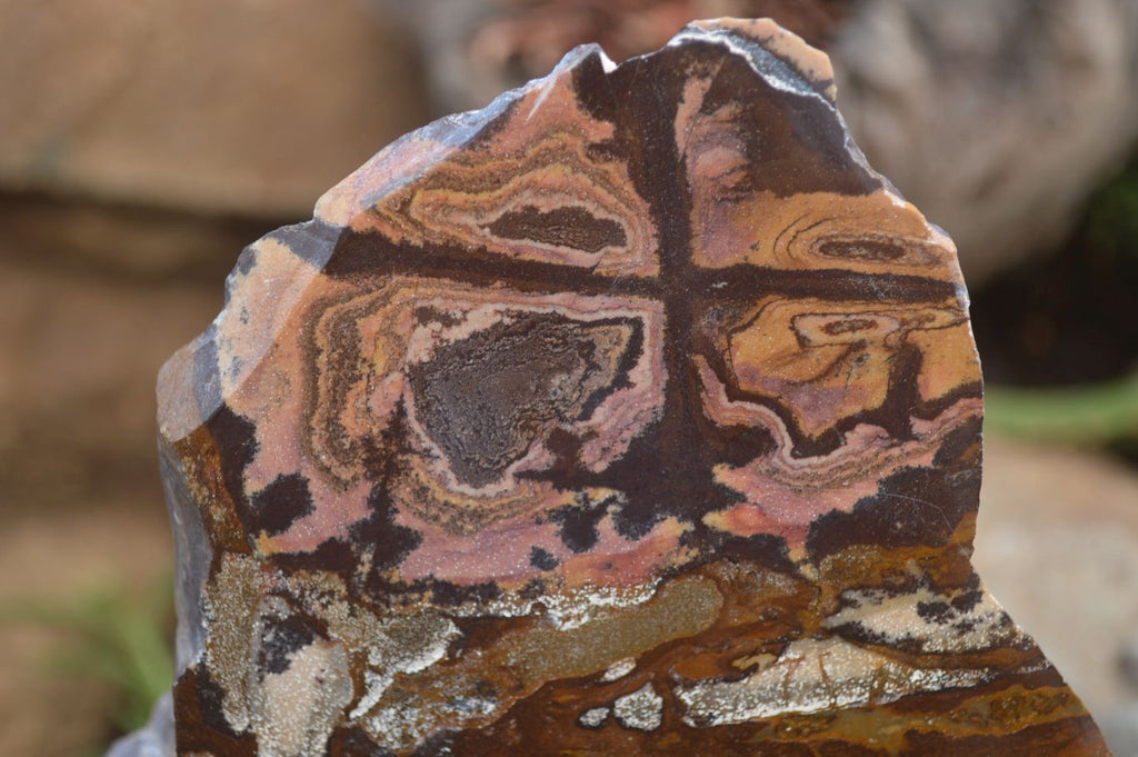 Polished On One Side Nguni Jasper x 2 From Prieska, South Africa - Toprock Gemstones and Minerals 