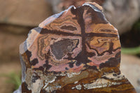 Polished On One Side Nguni Jasper x 2 From Prieska, South Africa - Toprock Gemstones and Minerals 