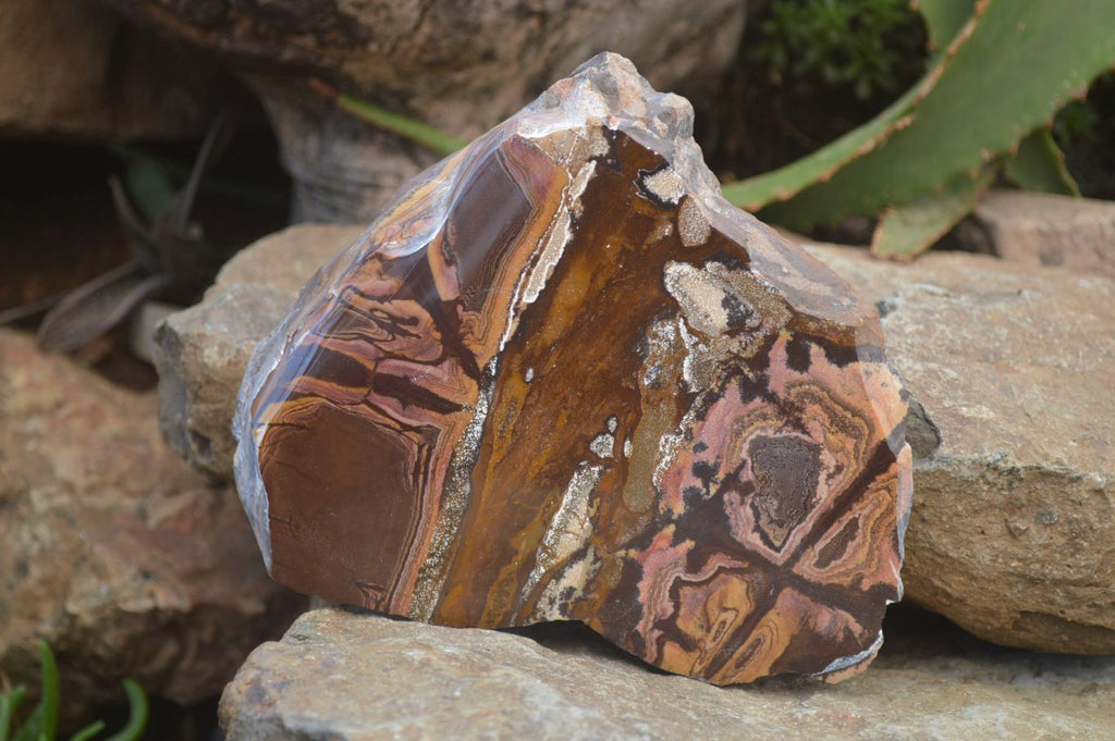 Polished On One Side Nguni Jasper x 2 From Prieska, South Africa - Toprock Gemstones and Minerals 