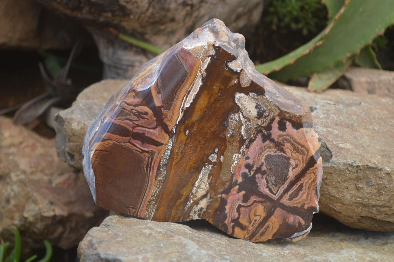 Polished On One Side Nguni Jasper x 2 From Prieska, South Africa - Toprock Gemstones and Minerals 