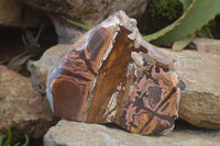 Polished On One Side Nguni Jasper x 2 From Prieska, South Africa - Toprock Gemstones and Minerals 