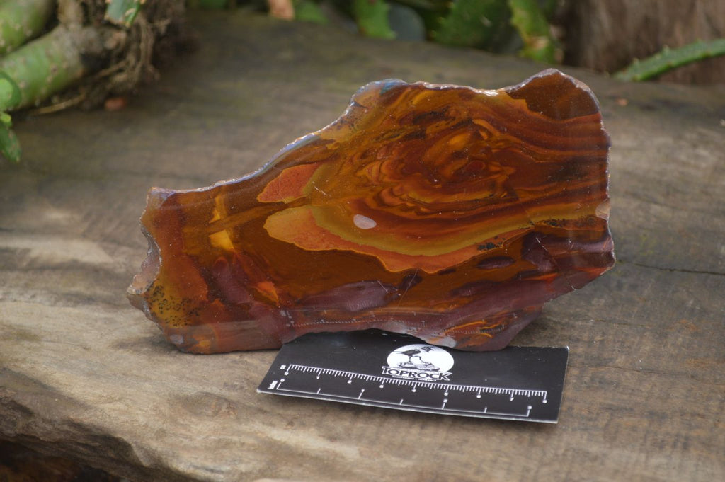 Polished On One Side Nguni Jasper x 2 From Prieska, South Africa - Toprock Gemstones and Minerals 