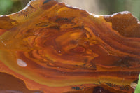 Polished On One Side Nguni Jasper x 2 From Prieska, South Africa - Toprock Gemstones and Minerals 