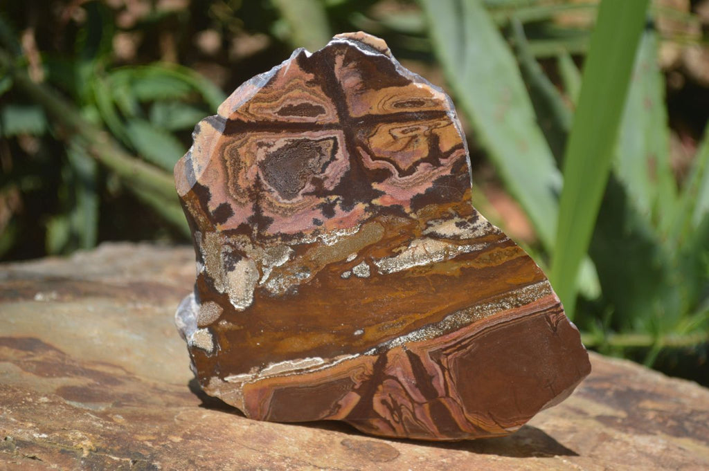 Polished On One Side Nguni Jasper x 2 From Prieska, South Africa - Toprock Gemstones and Minerals 