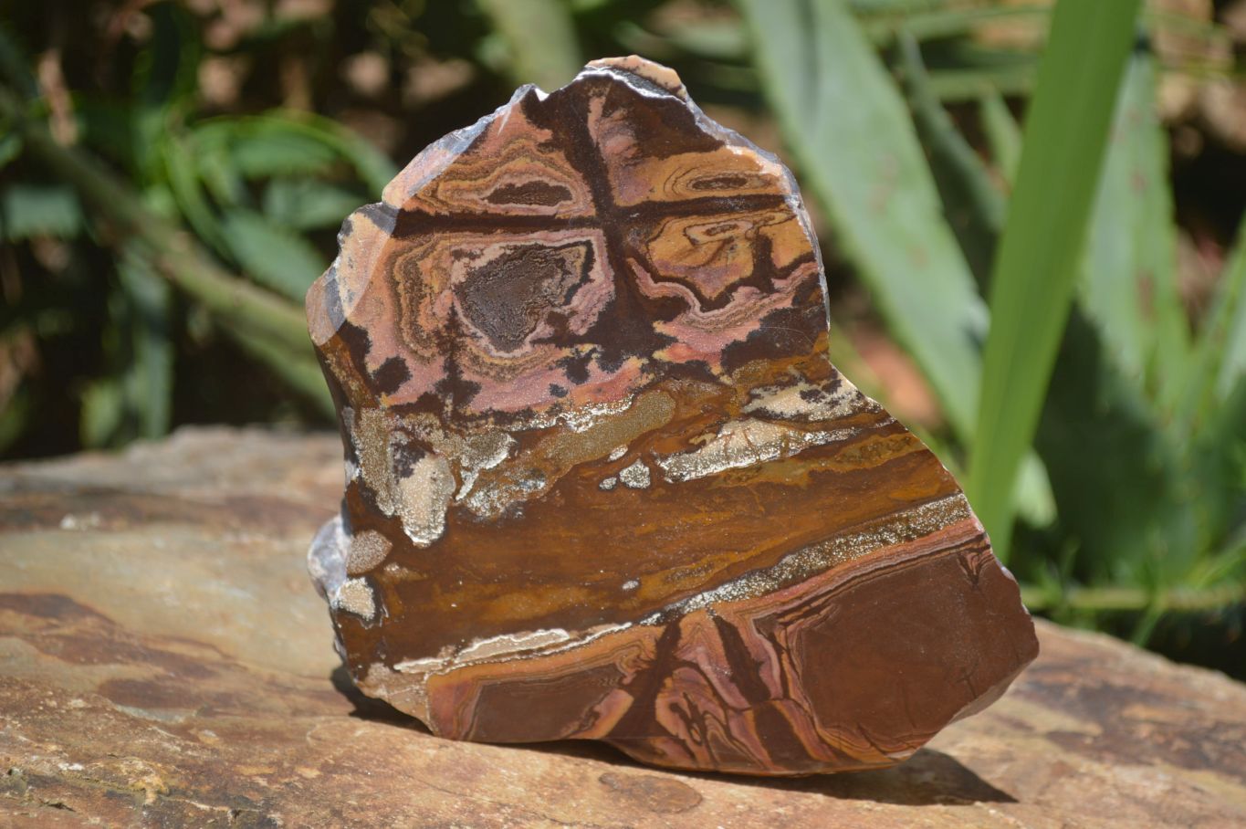 Polished On One Side Nguni Jasper x 2 From Prieska, South Africa - Toprock Gemstones and Minerals 