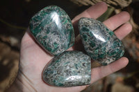 Polished Rare Emerald Mica In Matrix Standing Free Forms x 6 From Mutoko, Zimbabwe - Toprock Gemstones and Minerals 