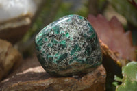 Polished Rare Emerald Mica In Matrix Standing Free Forms x 6 From Mutoko, Zimbabwe - Toprock Gemstones and Minerals 