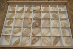 Natural Assortment Of Quartz Crystals x 35 From Southern Africa - Toprock Gemstones and Minerals 