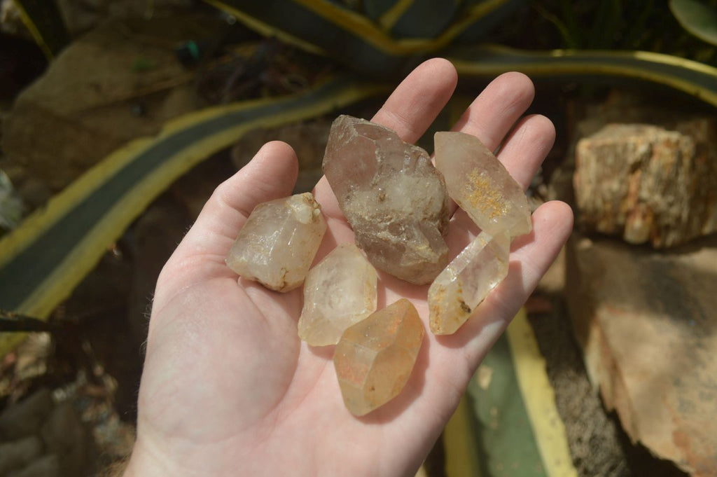 Natural Assortment Of Quartz Crystals x 35 From Southern Africa - Toprock Gemstones and Minerals 