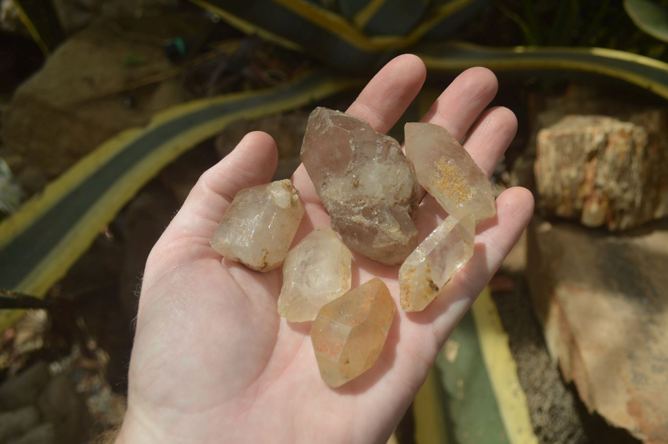 Natural Assortment Of Quartz Crystals x 35 From Southern Africa - Toprock Gemstones and Minerals 