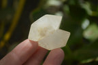 Natural Assortment Of Quartz Crystals x 35 From Southern Africa - Toprock Gemstones and Minerals 