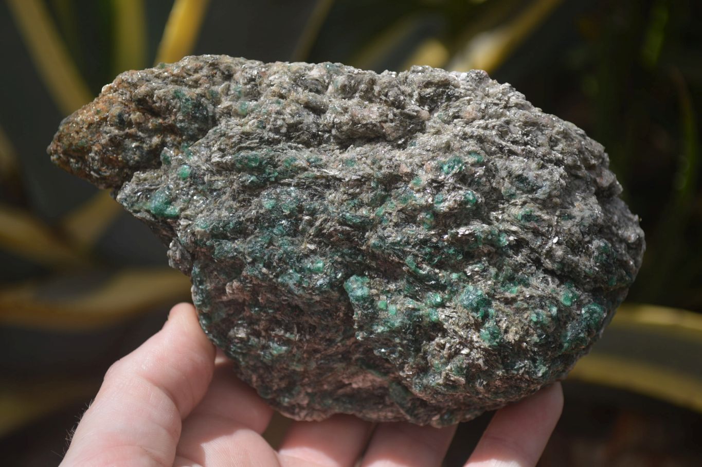 Natural Rare Emerald Mica In Matrix Specimens x 5 From Mutoko, Zimbabwe - Toprock Gemstones and Minerals 