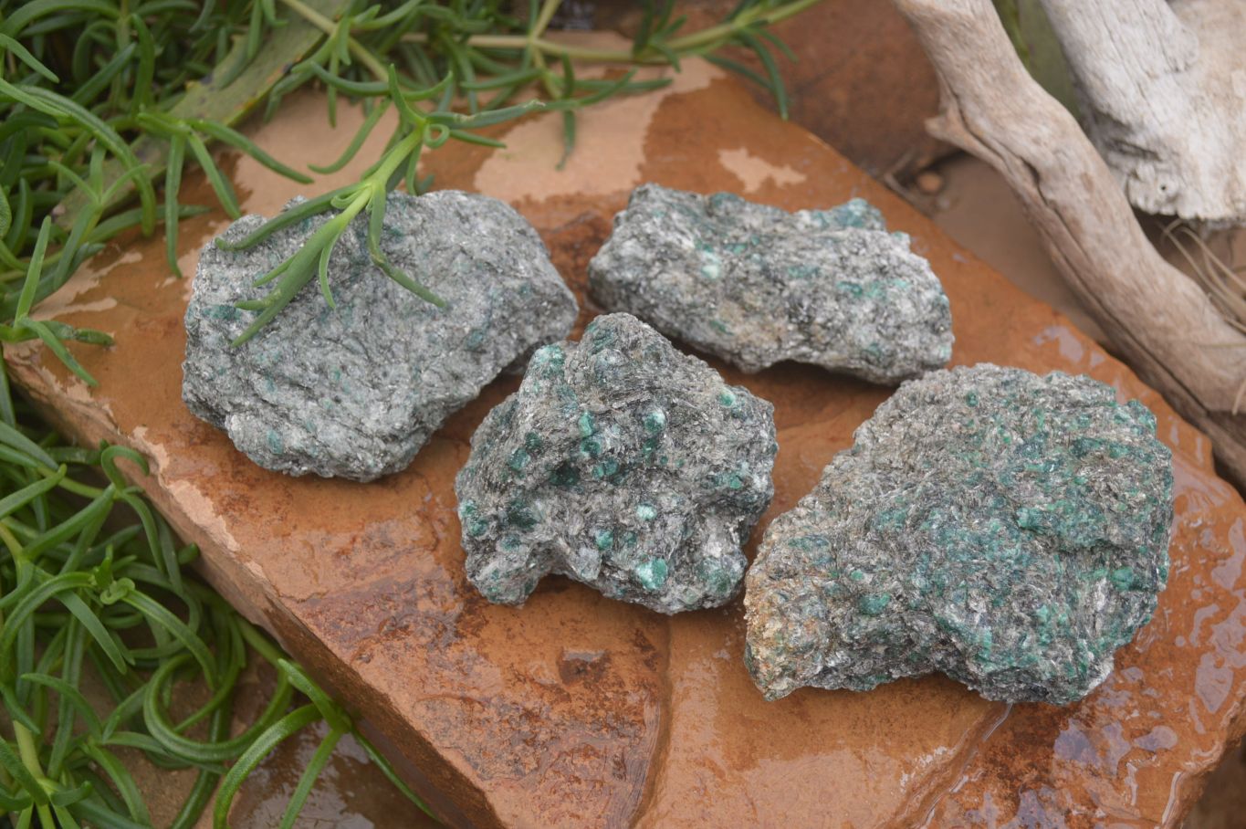 Natural Rare Emerald Mica In Matrix Specimens x 5 From Mutoko, Zimbabwe - Toprock Gemstones and Minerals 