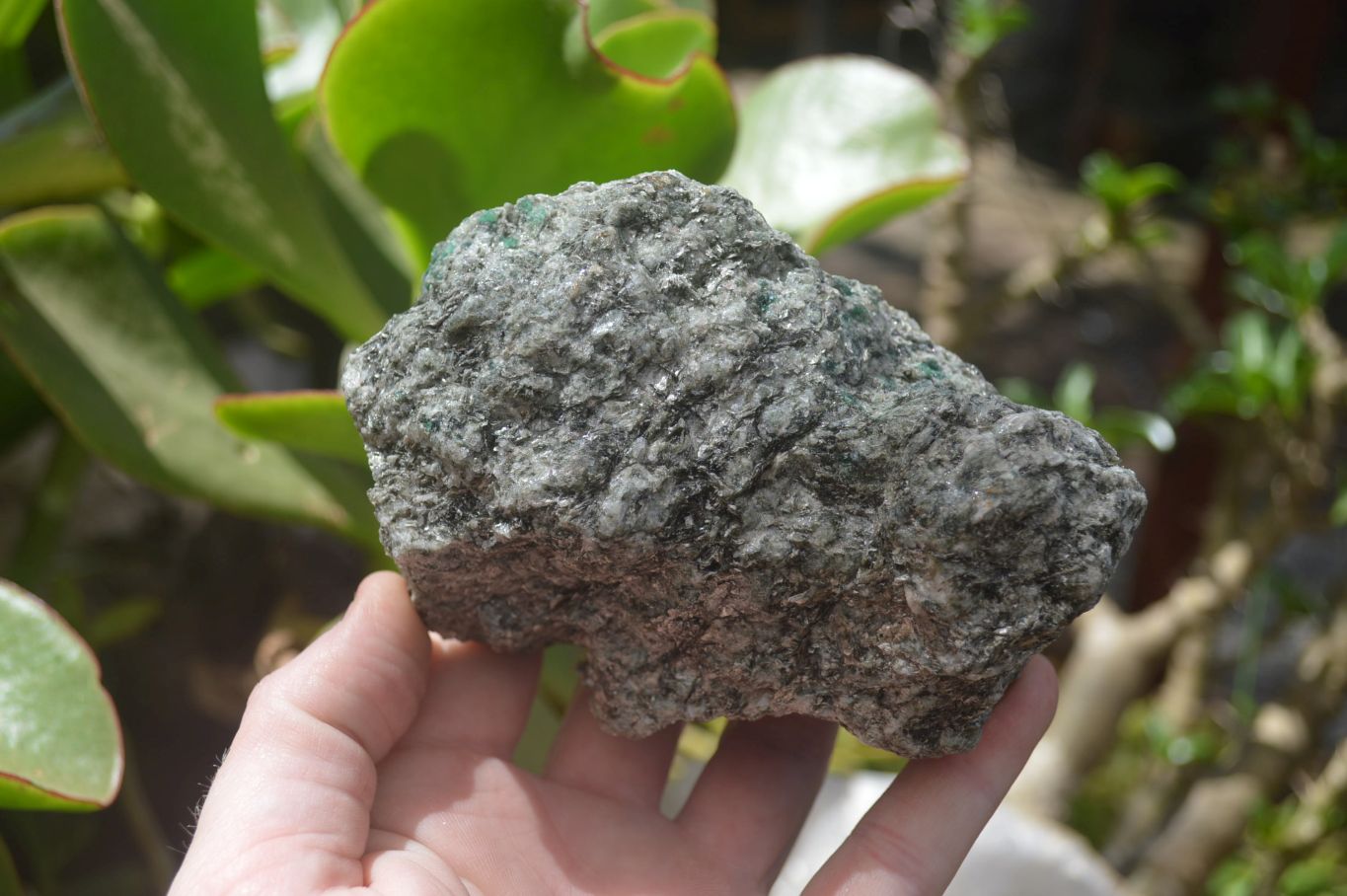 Natural Rare Emerald Mica In Matrix Specimens x 5 From Mutoko, Zimbabwe - Toprock Gemstones and Minerals 