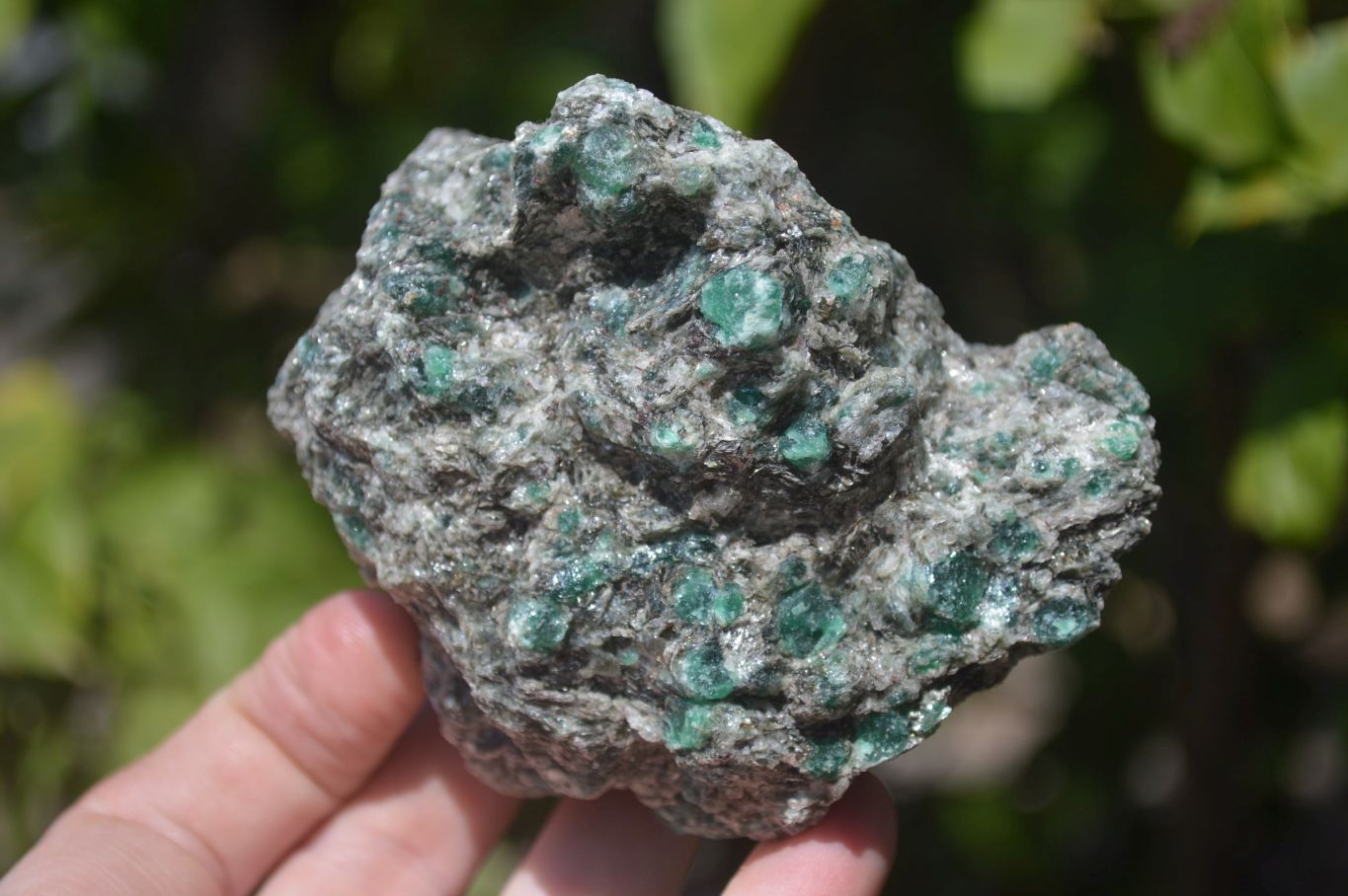 Natural Rare Emerald Mica In Matrix Specimens x 5 From Mutoko, Zimbabwe - Toprock Gemstones and Minerals 