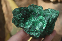 Natural Silky Malachite Specimens x 2 From Kasompe, Congo - Toprock Gemstones and Minerals 