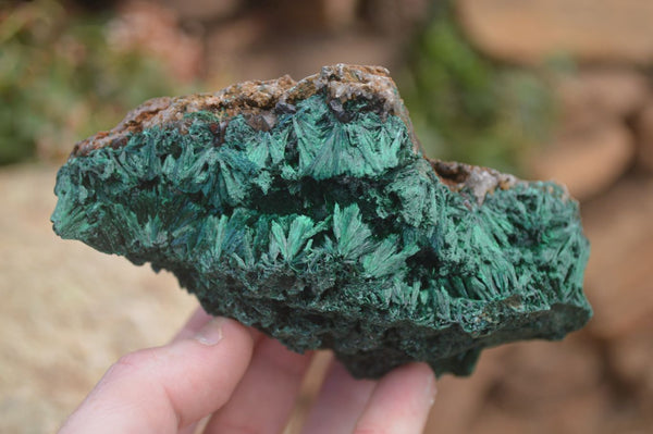 Natural Silky Malachite Specimens x 2 From Kasompe, Congo - Toprock Gemstones and Minerals 