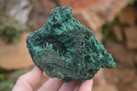 Natural Silky Malachite Specimens x 2 From Kasompe, Congo - Toprock Gemstones and Minerals 