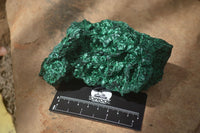 Natural Silky Malachite Specimens x 2 From Kasompe, Congo - Toprock Gemstones and Minerals 