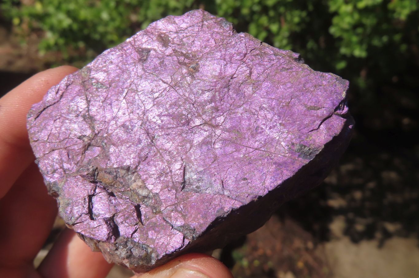 Natural Metallic Purpurite Cobbed Specimens x 12 From Erongo, Namibia - Toprock Gemstones and Minerals 