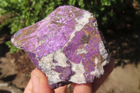 Natural Metallic Purpurite Cobbed Specimens x 12 From Erongo, Namibia - Toprock Gemstones and Minerals 