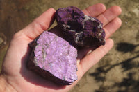 Natural Metallic Purpurite Cobbed Specimens x 12 From Erongo, Namibia - Toprock Gemstones and Minerals 
