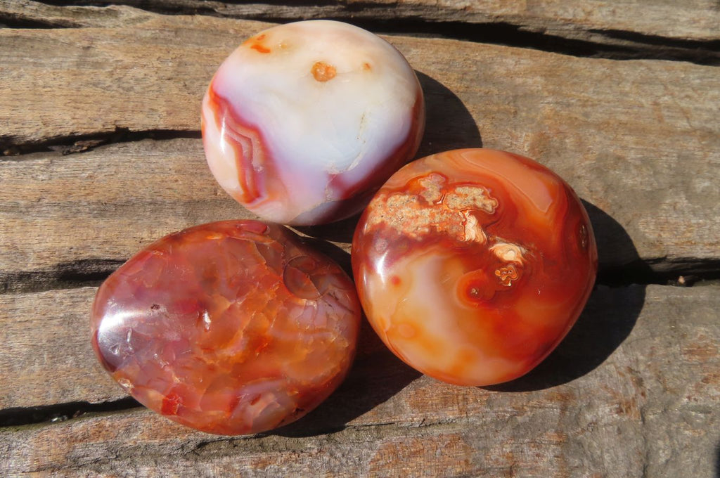 Polished Carnelian Palm Stones x 24 From Madagascar - Toprock Gemstones and Minerals 