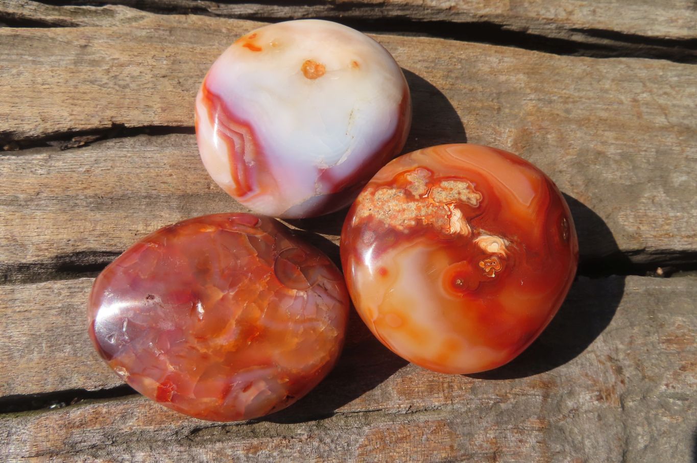 Polished Carnelian Palm Stones x 24 From Madagascar - Toprock Gemstones and Minerals 