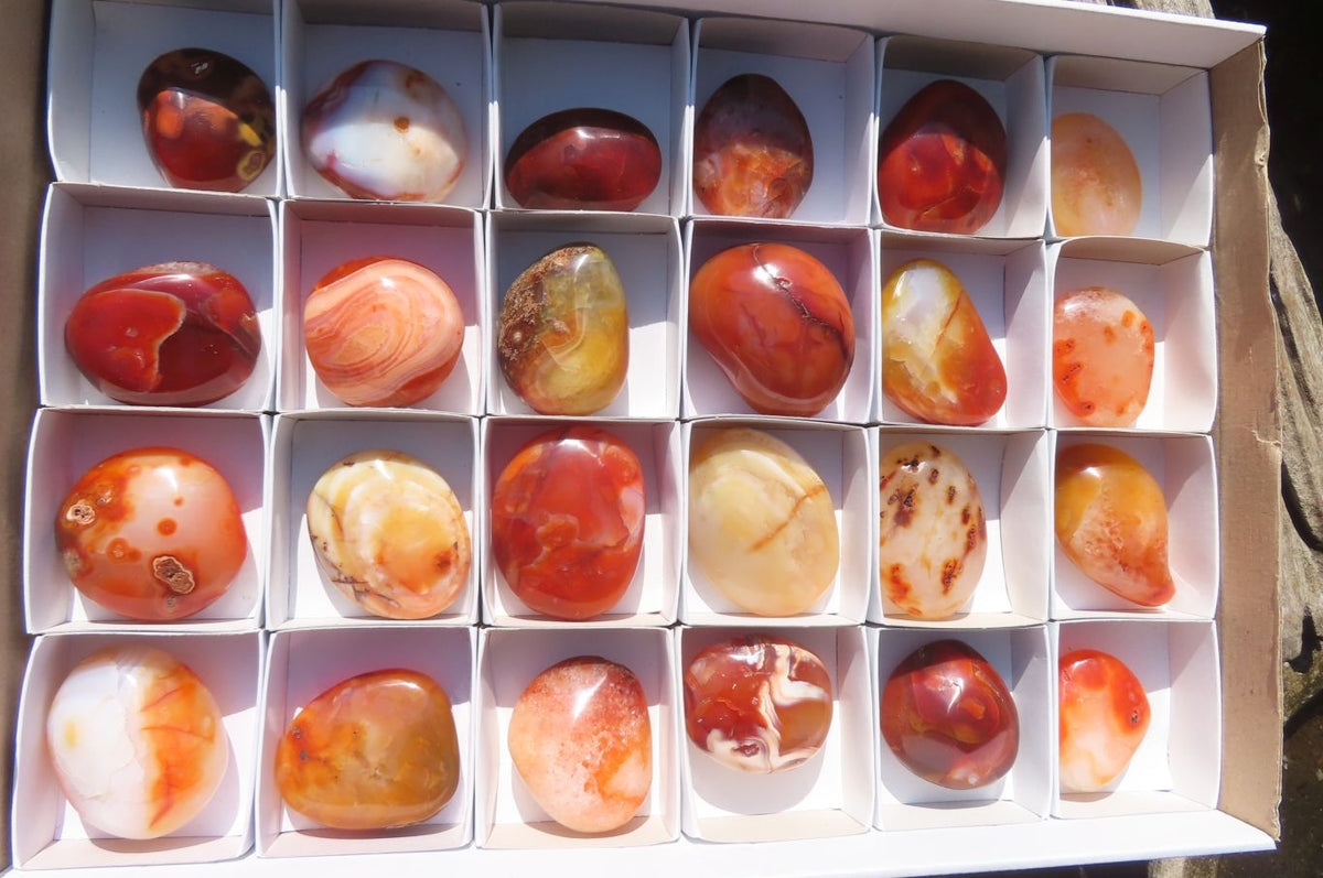 Polished Carnelian Palm Stones x 24 From Madagascar - Toprock Gemstones and Minerals 