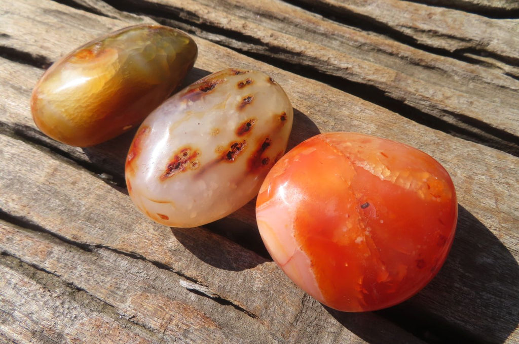 Polished Carnelian Palm Stones x 24 From Madagascar - Toprock Gemstones and Minerals 