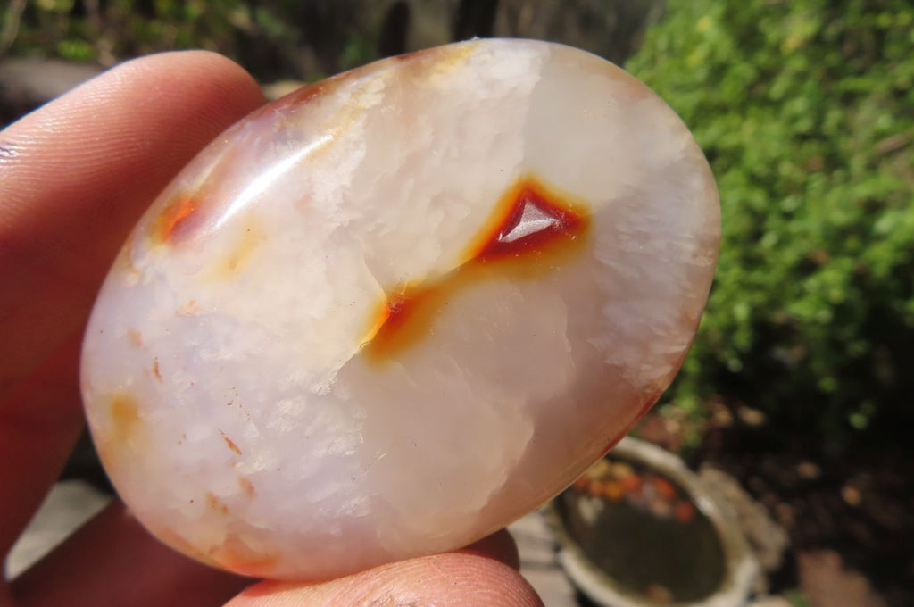Polished Carnelian Palm Stones x 24 From Madagascar - Toprock Gemstones and Minerals 